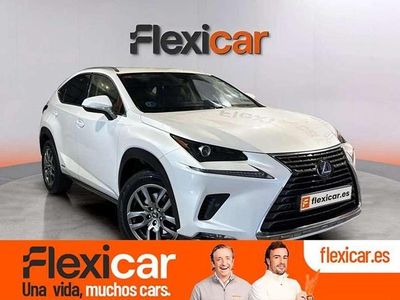 Usado Lexus NX300h Executive Line 197 CV (144 kW) 2020 Blanco SUV