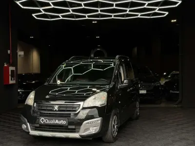 Usado Peugeot TePee