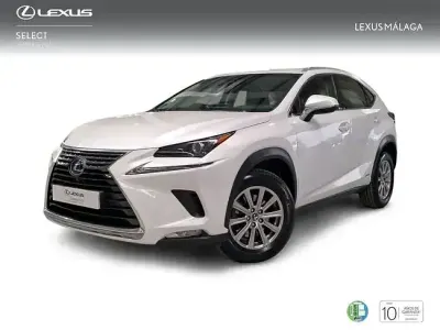 Usado Lexus NX300h Business Edition 197 CV (144 kW) 2019 Blanco SUV