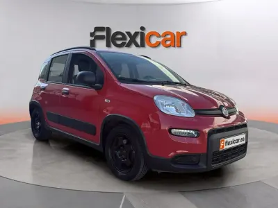 Usado Fiat Panda City Life 71 CV (52 kW) 2022 Rojo Utilitario