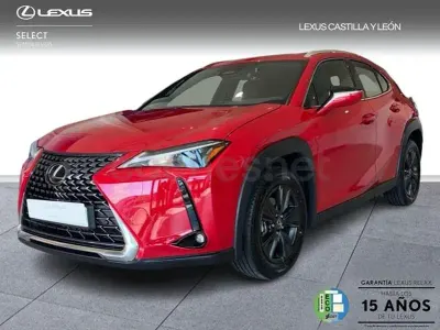 Usado Lexus UX 199 CV (146 kW) 2025 Rojo SUV