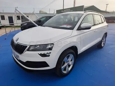 Usado Skoda Karoq