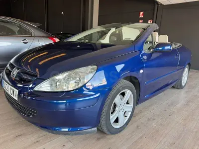 Usado Peugeot 307 CC