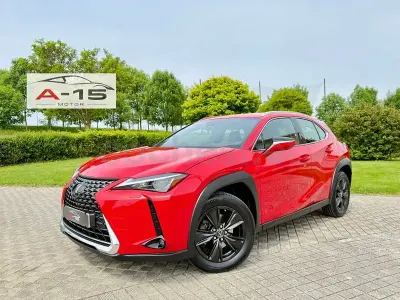 Usado Lexus UX Business Edition 184 CV (135 kW) 2022 Rojo SUV
