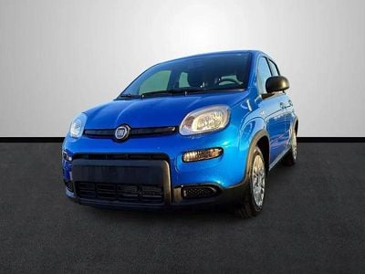 Nieuw Fiat Panda Pop 69 PK (50 kW) 2025 Blauw Hatchback