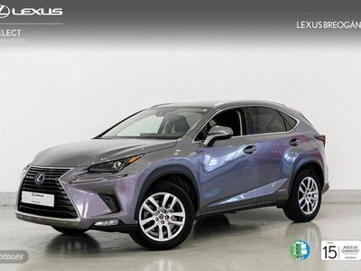 Usado Lexus NX300h Business Edition 197 CV (144 kW) 2019 Varios colores SUV