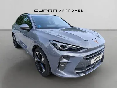 Usado Cupra Terramar