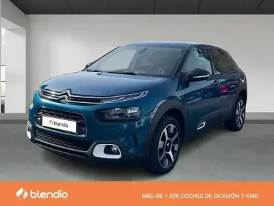 Usado Citroën C4 Cactus Live 99 CV (72 kW) 2019 Utilitario