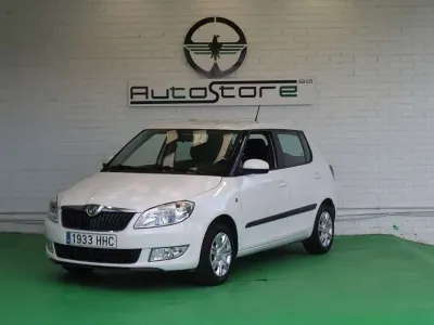 Usado Skoda Fabia