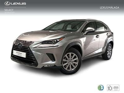 Gris Usado 2019 Lexus NX300h Business Edition SUV | 31.900 € (Caro)