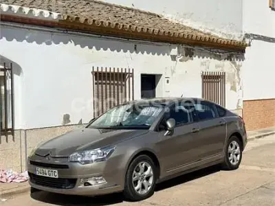 Usado Citroën C5 Business Class 112 CV (82 kW) 2010 Beige Berlina