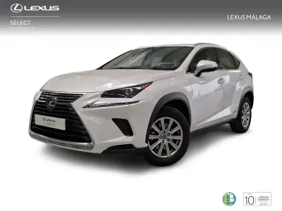 Usado Lexus NX300h Business Edition 199 CV (146 kW) 2021 Blanco SUV