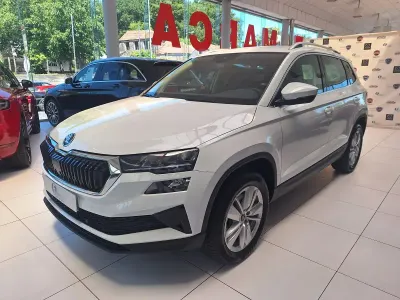 Usado Skoda Karoq