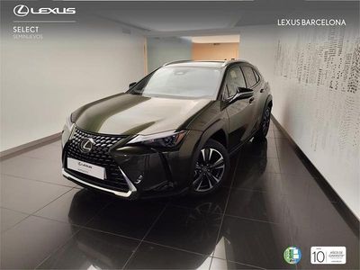 Nuevo Lexus UX 300h 199 CV (146 kW) 2026 Verde SUV
