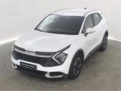 Occasion Kia Sportage 160 ch (117 kW) 2025 Blanc SUV
