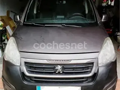 Usado Peugeot Partner Tepee