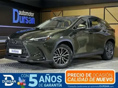 Usado Lexus NX350h Business Edition 242 CV (177 kW) 2022 Verde SUV