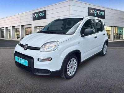 Blanco Usado 2023 Fiat Panda Comfort Utilitario | 11.390 € (Precio justo)