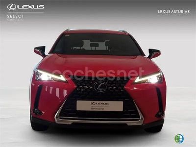 Usado Lexus UX Business Edition 184 CV (135 kW) 2021 Rojo SUV
