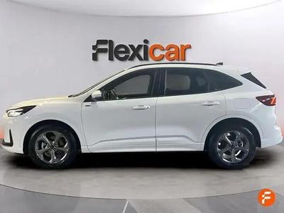 Occasion Ford Kuga ST-Line 150 PK (110 kW) 2025 Wit SUV
