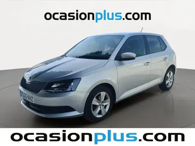 Usado Skoda Fabia Business Line 75 CV (55 kW) 2018 Gris plata Utilitario