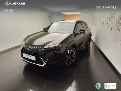 Nuevo Lexus UX 199 CV (146 kW) 2026 Verde SUV