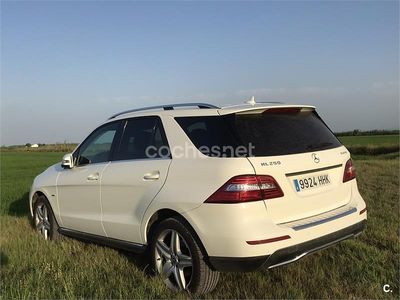 Mercedes ML250