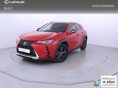Usado Lexus UX 250h Business Edition 184 CV (135 kW) 2019 Rojo SUV