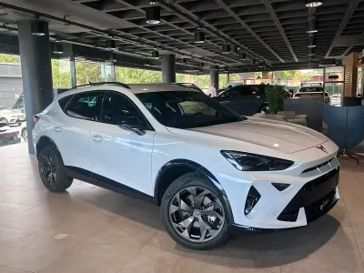 Usado Cupra Formentor