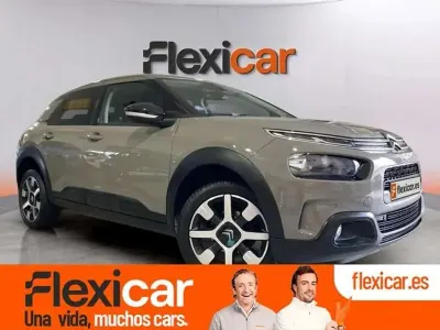 Usado Citroën C4 Cactus PureTech 110 CV (80 kW) 2019 Marrón Utilitario