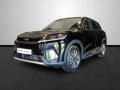 Usado BYD Atto 2
