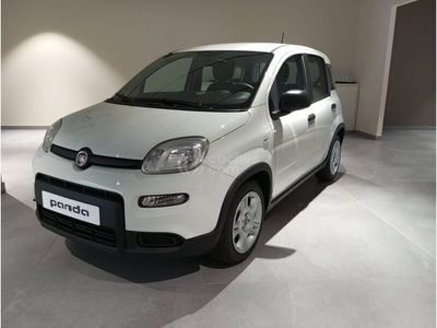 usado Fiat Panda 1.0 Gse City Live Hybrid