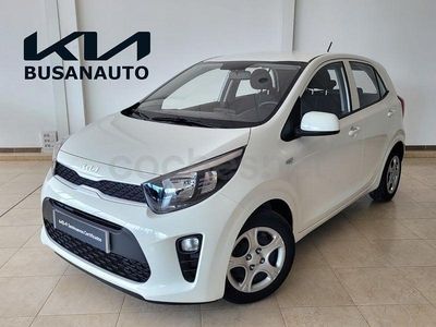 Usado Kia Picanto 67 CV (49 kW) 2024 Blanco Utilitario