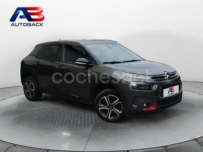 Gris / plata Usado 2020 Citroën C4 Cactus Utilitario | 9950 € (Buen precio)