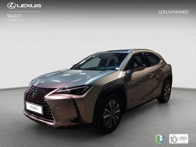 Lexus UX 300e