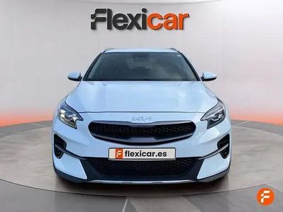 Occasion Kia XCeed 120 ch (88 kW) 2019 Blanc SUV