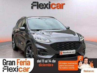 Usado Ford Kuga ST-Line 120 CV (88 kW) 2024 Gris SUV
