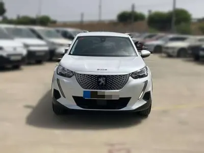 Usado Peugeot e-2008