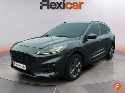 Używany Ford Kuga ST-Line 225 KM (165 kW) 2020 Szary SUV