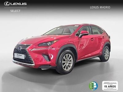 Usado Lexus NX300h Business Edition 197 CV (144 kW) 2020 Rojo SUV
