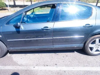 Usado Peugeot 407