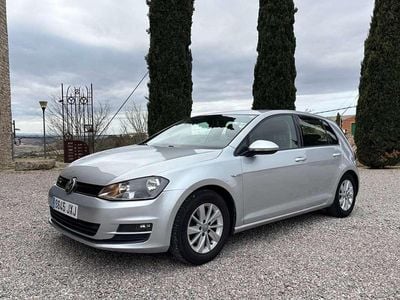 Gris Usado 2017 VW Golf VII Business Utilitario | 13.500 € (Un poco caro)
