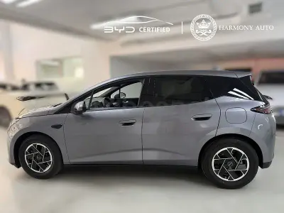 Nuevo BYD Dolphin Boost 155 kW (212 CV) 2026 Gris / plata Utilitario