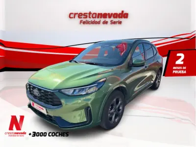 Usado Ford Kuga ST-Line 190 CV (139 kW) 2025 Verde SUV