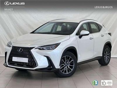 Usado Lexus NX300 242 CV (177 kW) 2024 Blanco SUV