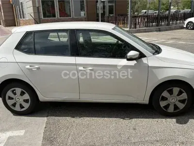 Brugt Skoda Fabia