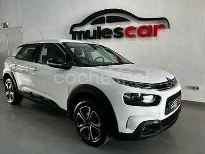 Blanco Usado 2020 Citroën C4 Cactus Feel Utilitario | 12.900 € (Un poco caro)