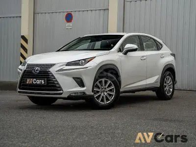 Usado Lexus NX300h Executive Line 197 CV (144 kW) 2019 Blanco SUV
