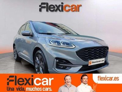 Usado Ford Kuga ST-Line 150 CV (110 kW) 2022 Gris SUV