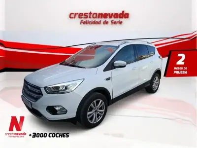 Używany Ford Kuga Trend 120 KM (88 kW) 2019 Biały SUV